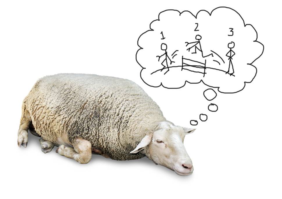 Insomnia ... Counting Sheep