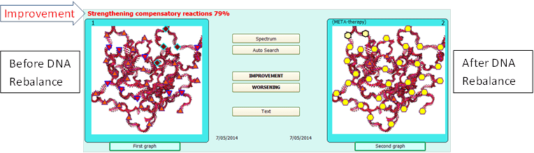 DNA Rebalancing with the Physiospect